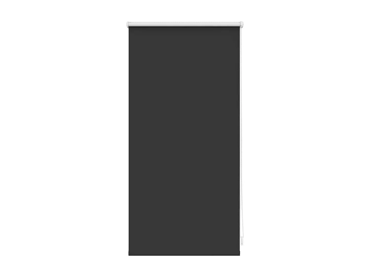 Store à rouleau 40x100 cm Blanc