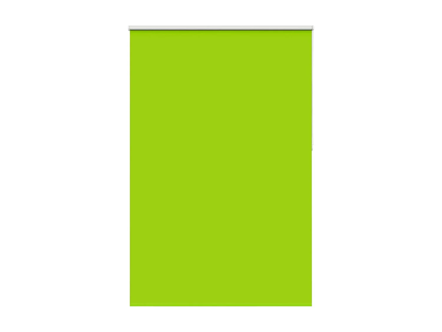 Estor Enrollable Opaco hojas verde 150x230cm Tela Ancho 146,6cm