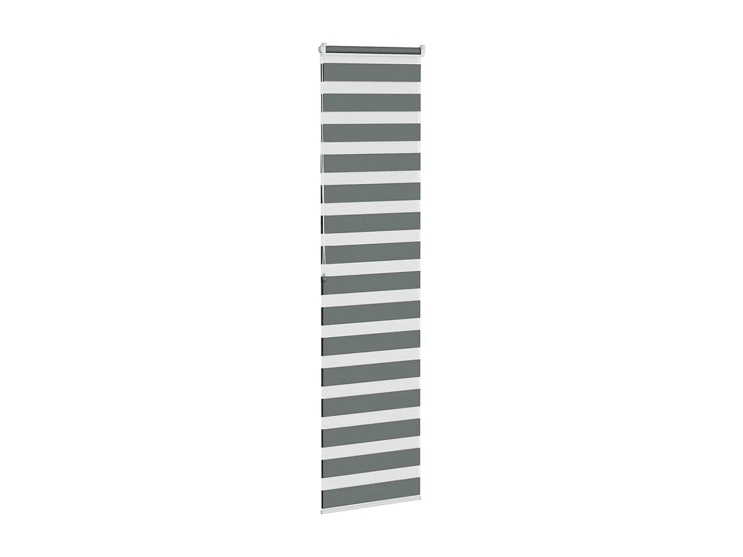 Store zèbre gris foncé largeur du tissu 55,9 cm polyester