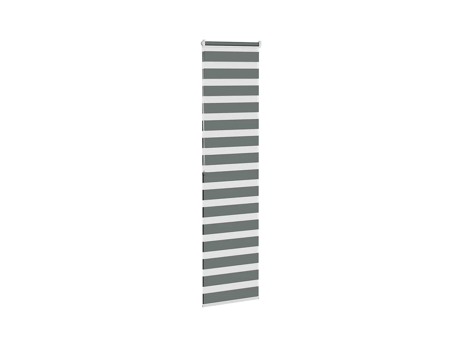 Store zèbre gris foncé largeur du tissu 55,9 cm polyester