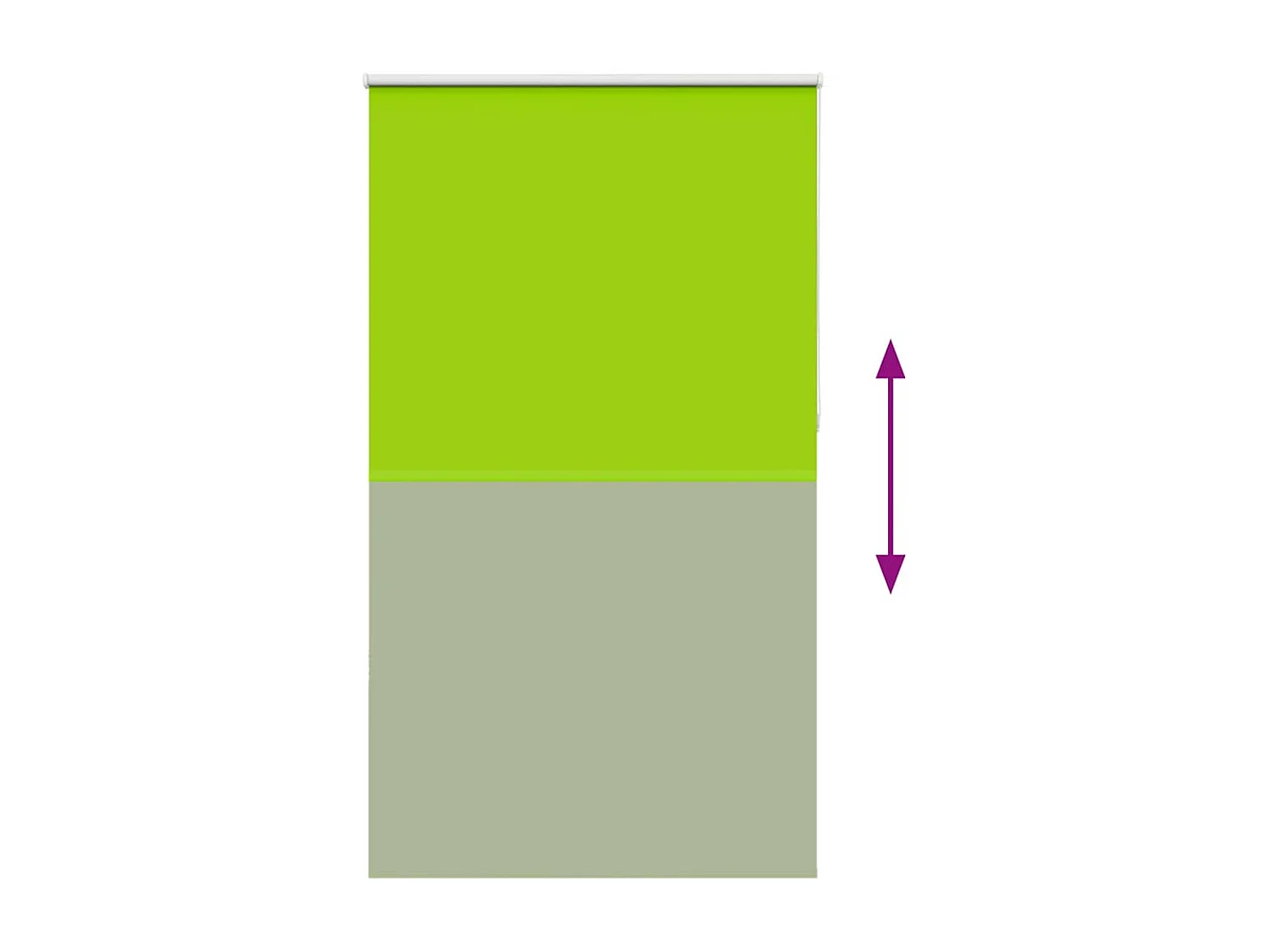 Estor Enrollable Opaco hojas verde 125x230cm Tela Ancho 121,6cm