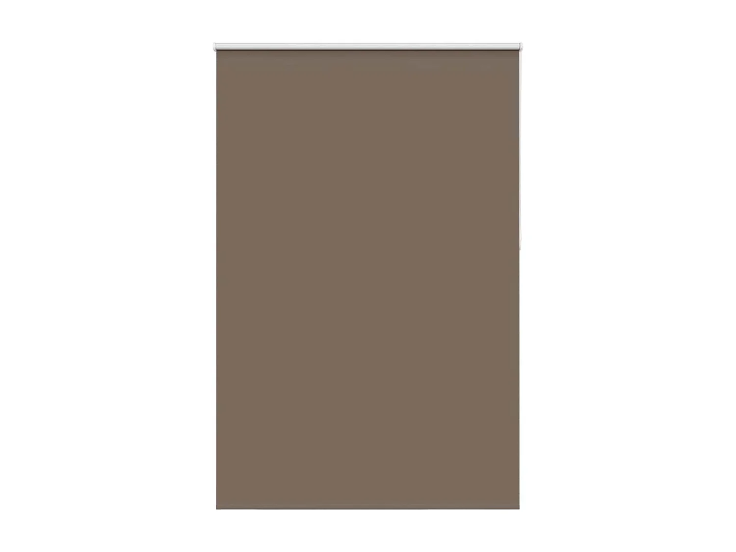 Estor Enrollable Opaco Color Café 150x230cm Tela Ancho 146,6cm