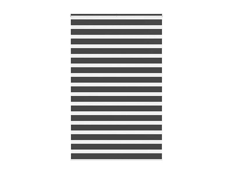 Zebra rolgordijn 145x230 cm stofbreedte 140,9 cm zwart