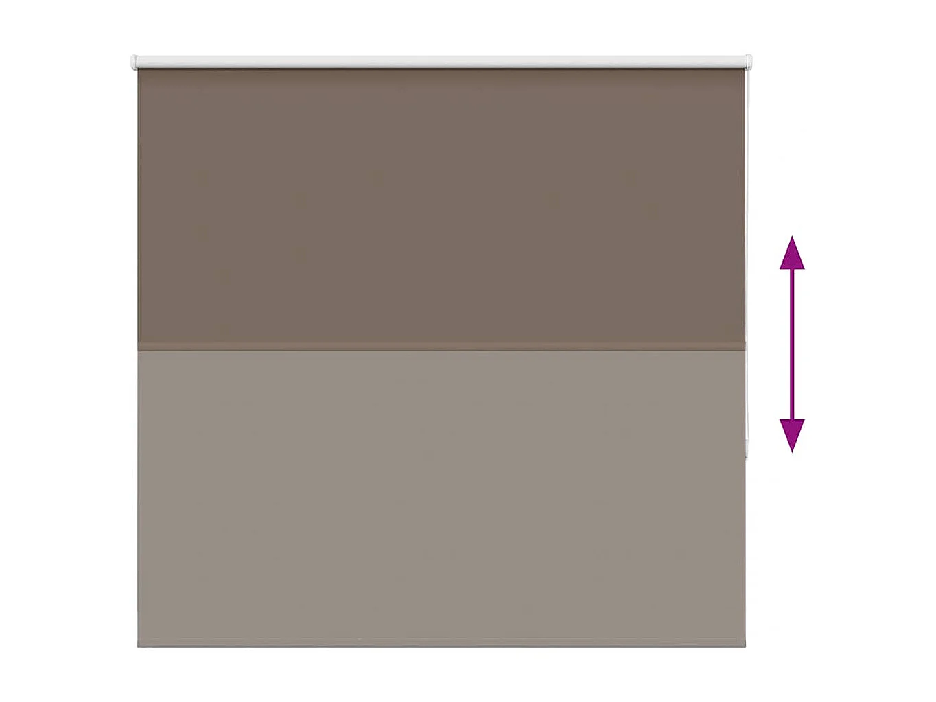 Estor Enrollable Opaco Color Café 160x130 cm Tela Ancho 156,6cm