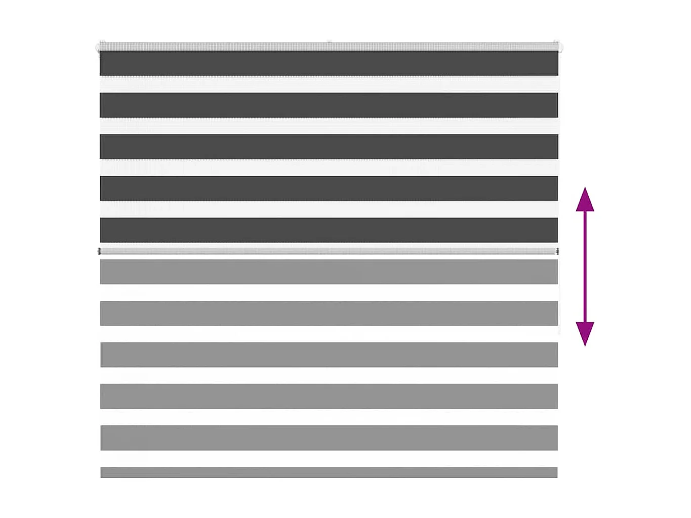 Cortina de zebra 155x150 cm largura do tecido 150,9cm poliéster