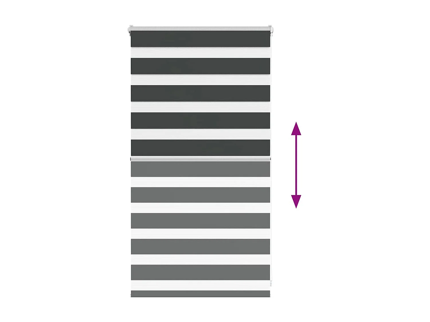 Store zèbre noir 80x100 cm largeur du tissu 75,9 cm polyester