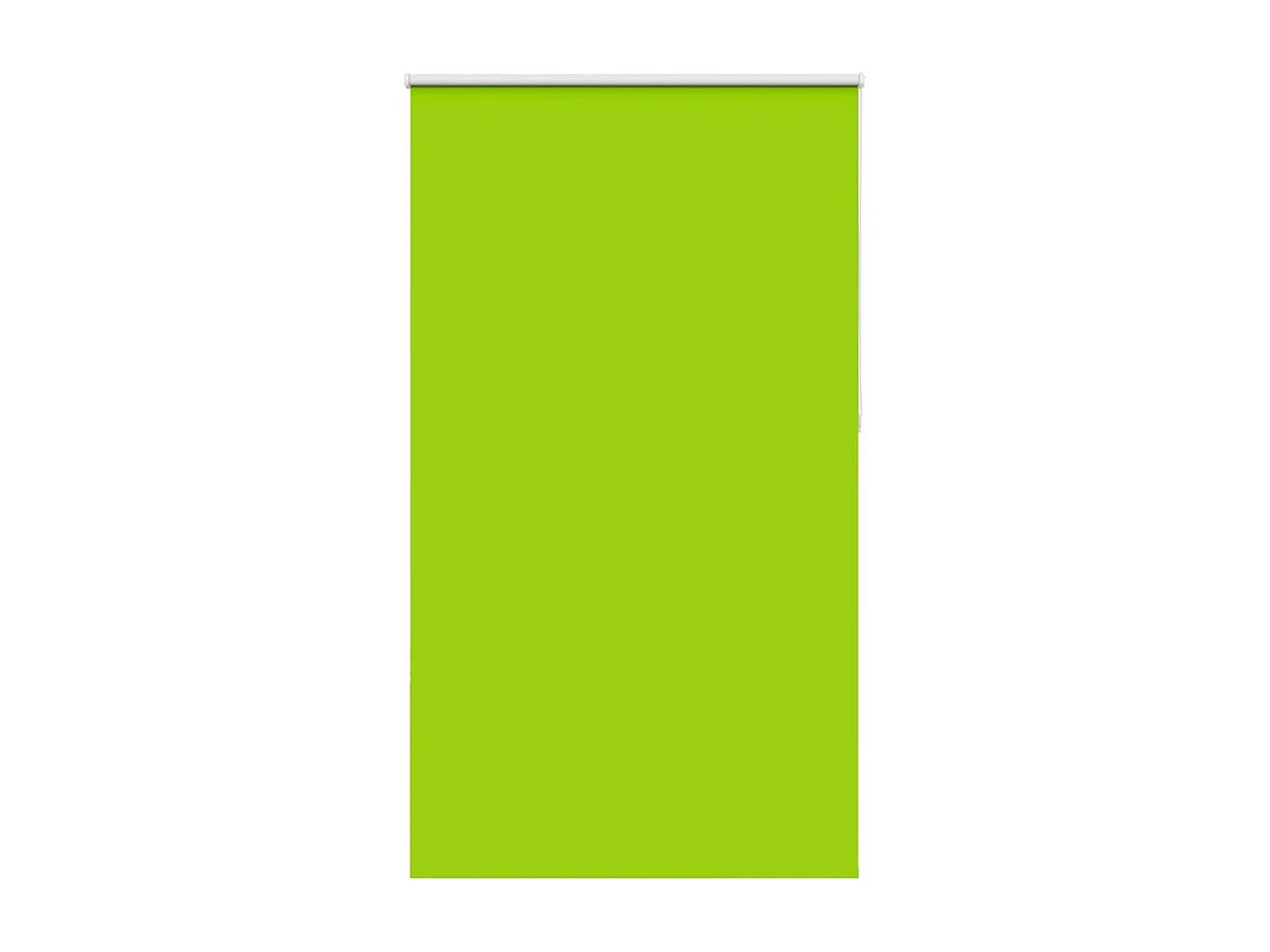 Estor Enrollable Opaco hojas verde 120x210cm Tela Ancho 116,6cm