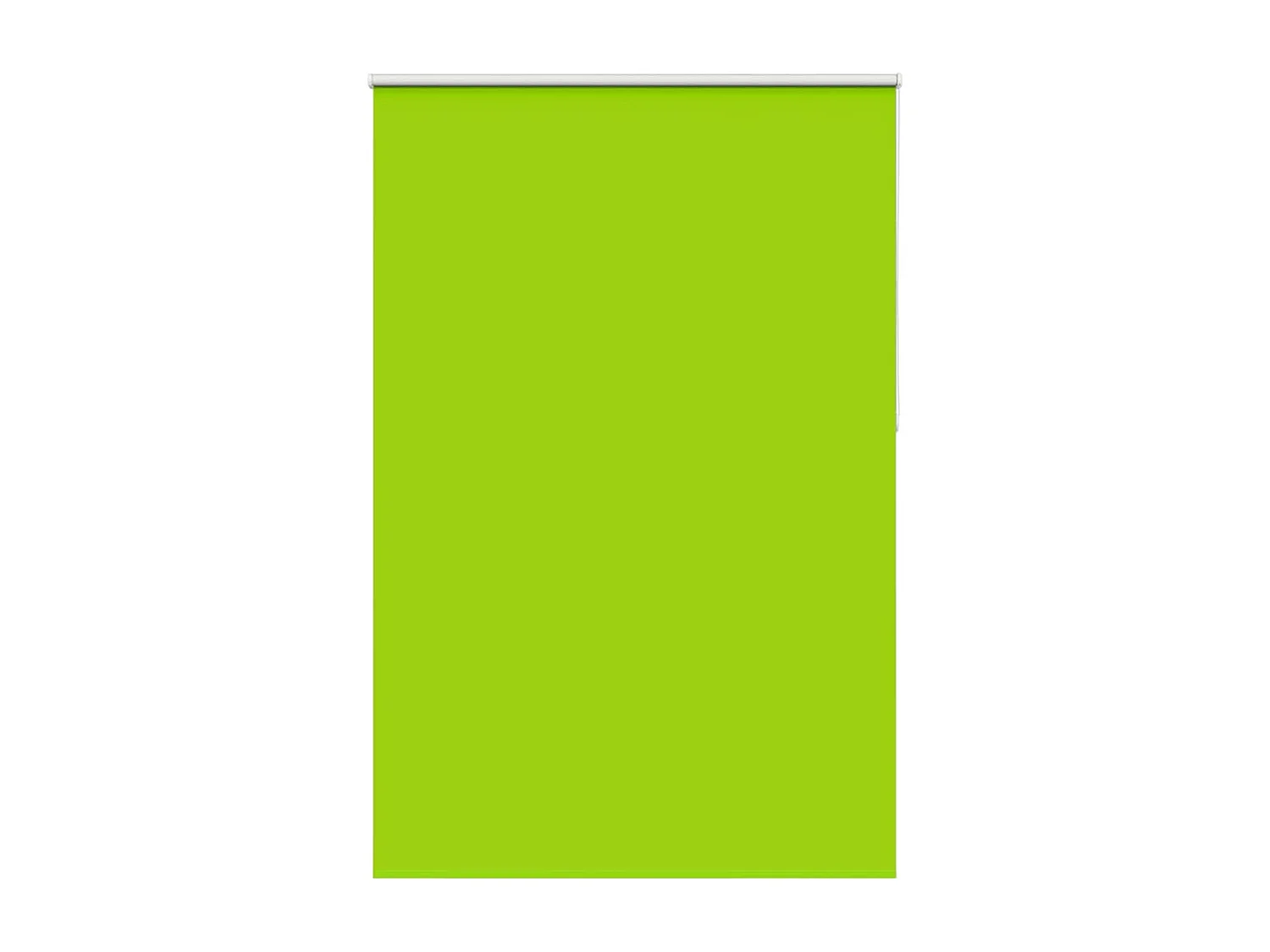 Estor Enrollable Opaco hojas verde 145x230cm Tela Ancho 141,6cm