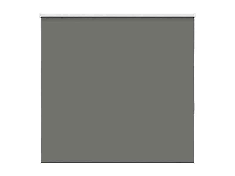 Estor Enrollable Opaco gris 165x175 cm Tela Ancho 161,6 cm