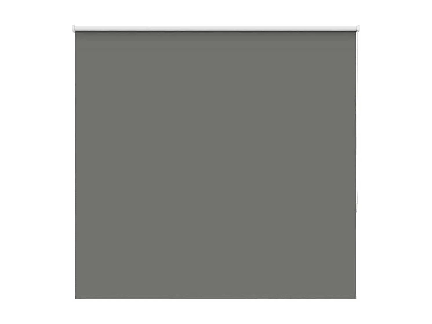 Estor Enrollable Opaco gris 165x175 cm Tela Ancho 161,6 cm
