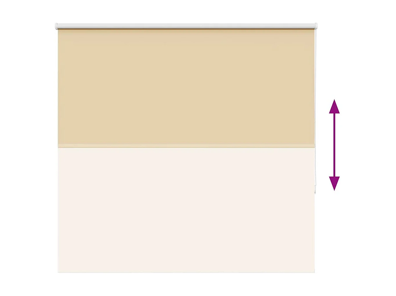 Estor Enrollable Opaco Beige 160x175 cm Tela Ancho 156,6 cm