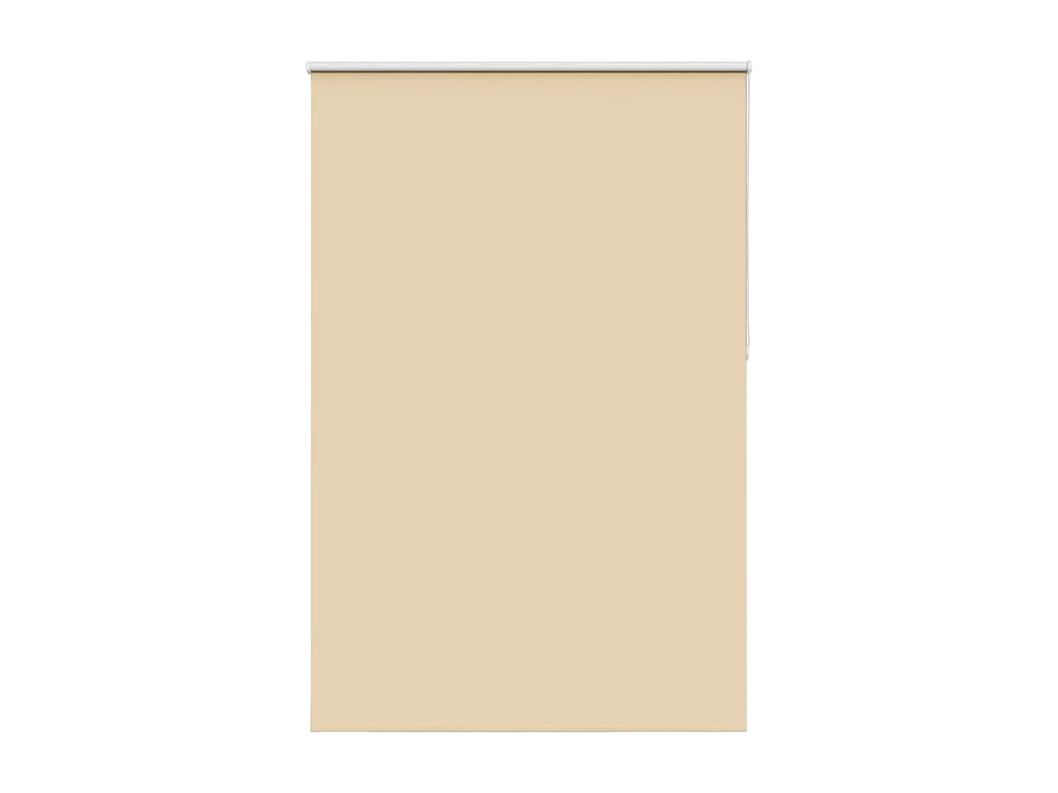 Estor Enrollable Opaco Beige 150x210 cm Tela Ancho 146,6 cm