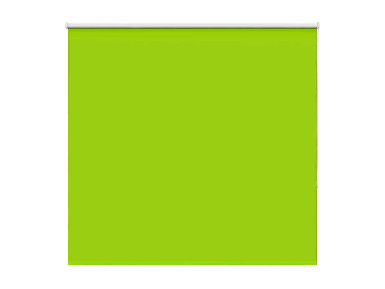 Estor Enrollable Opaco hojas verde 165x175cm Tela Ancho 161,6cm