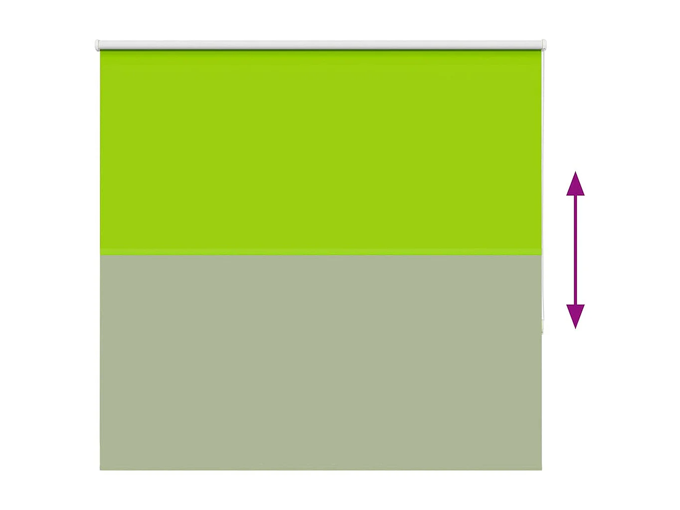 Estor Enrollable Opaco hojas verde 165x175cm Tela Ancho 161,6cm