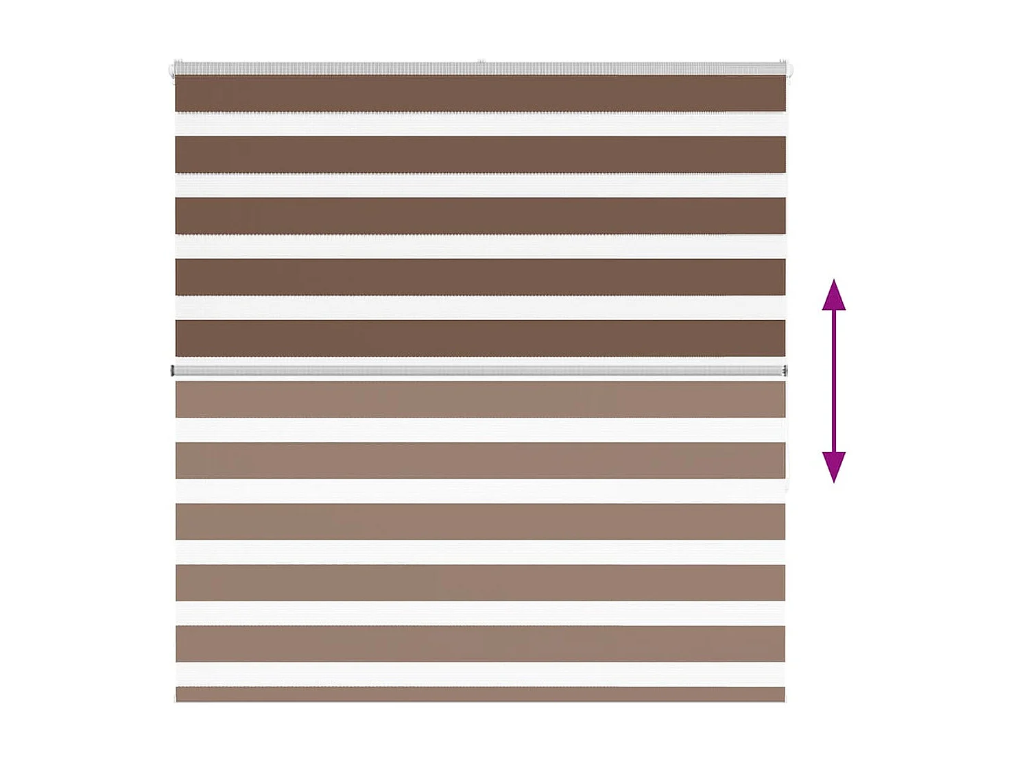 Store zèbre marron 145x150cm largeur du tissu 140,9cm polyester