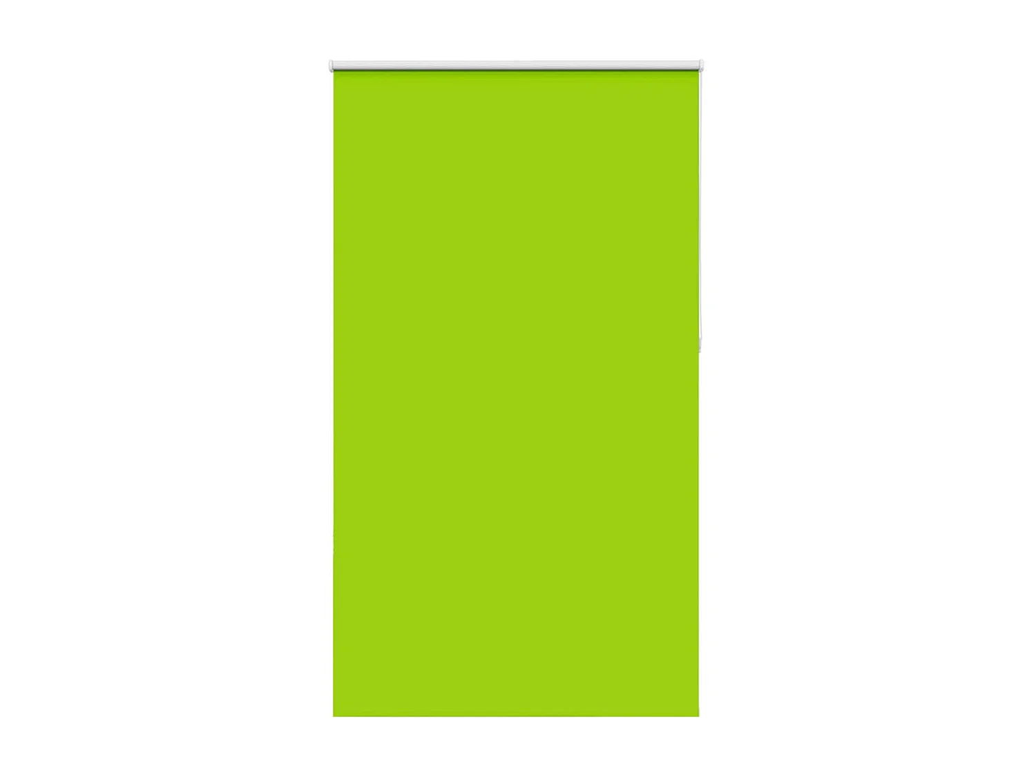 Estor Enrollable Opaco hojas verde 120x230cm Tela Ancho 116,6cm