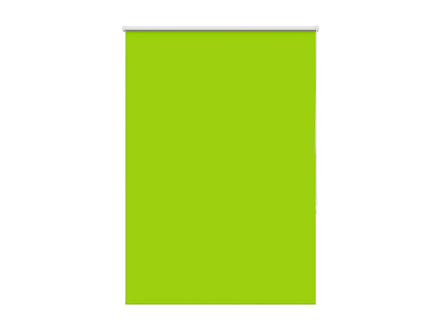 Estor Enrollable Opaco hojas verde 105x150cm Tela Ancho 100,7cm