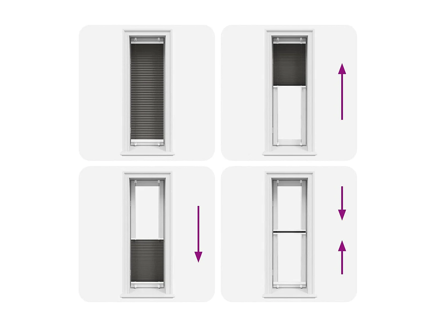 Estor Plisado negro 50x150 cm Tela Ancho 49,4 cm Poliéster