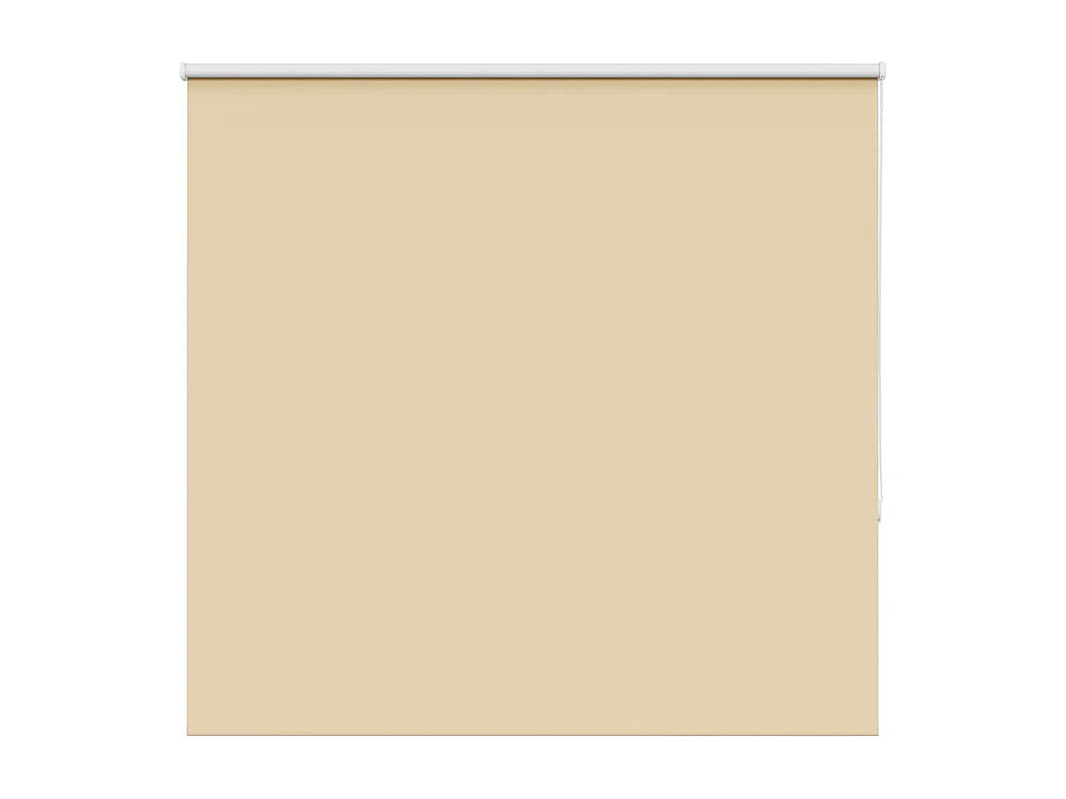 Estor Enrollable Opaco Beige 165x130 cm Tela Ancho 161,6 cm