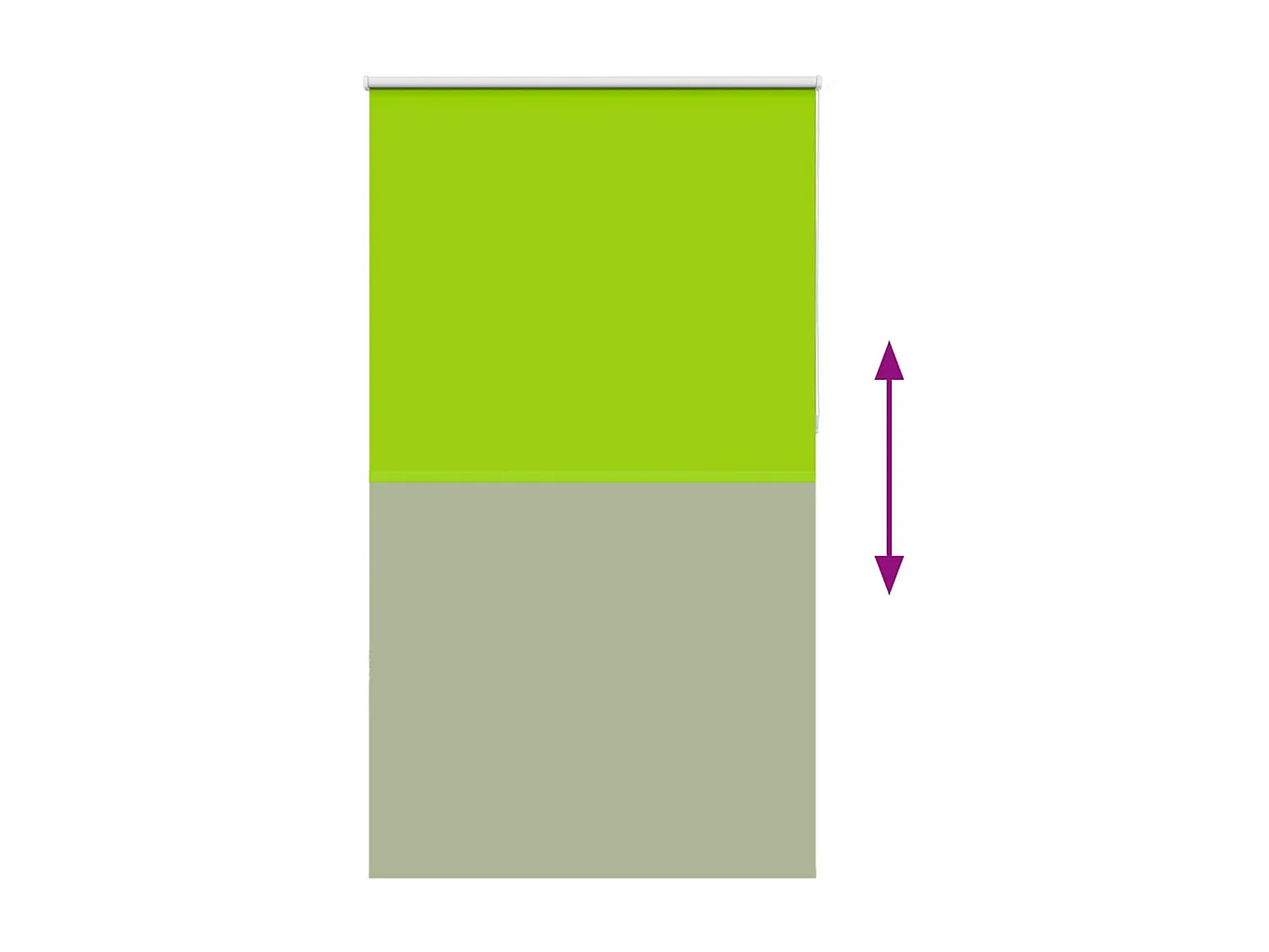 Estor Enrollable Opaco hojas verde 130x230cm Tela Ancho 126,6cm