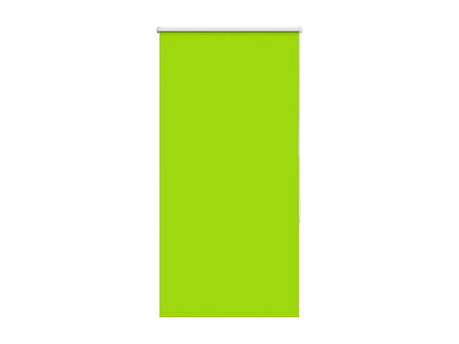 Estor Enrollable Opaco hojas verde 75x175 cm Tela Ancho 70,7 cm