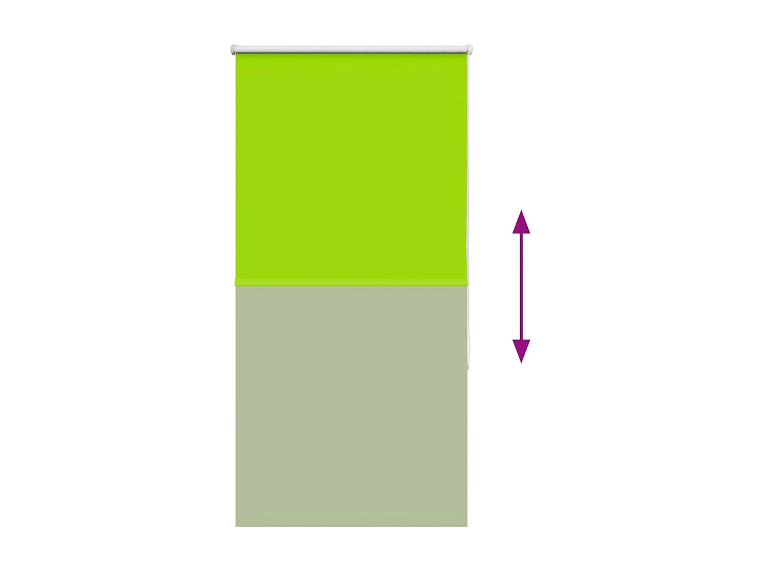 Estor Enrollable Opaco hojas verde 75x175 cm Tela Ancho 70,7 cm