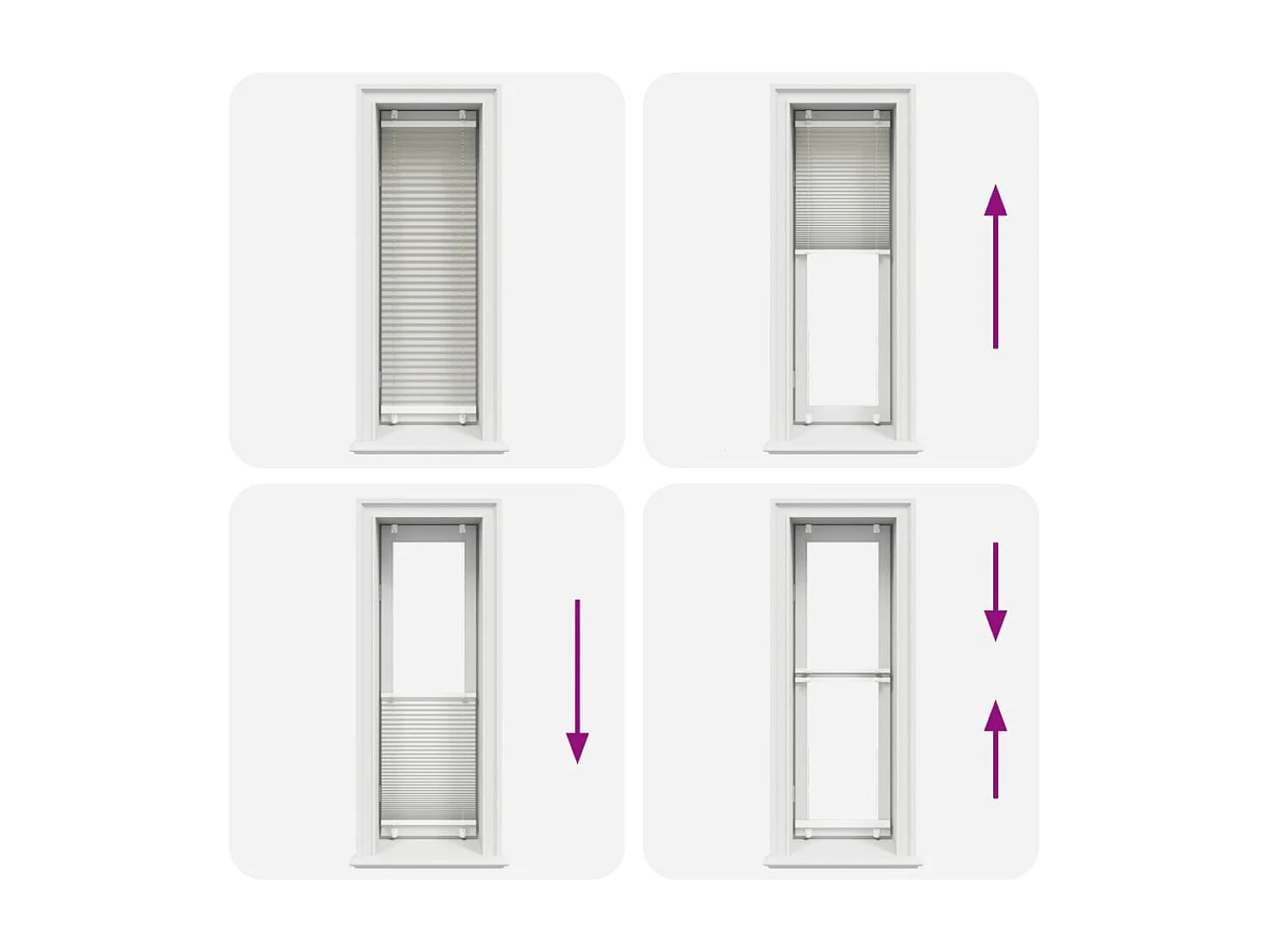 Estor Plisado gris claro 40x100 cm Tela Ancho 39,4 cm Poliéster