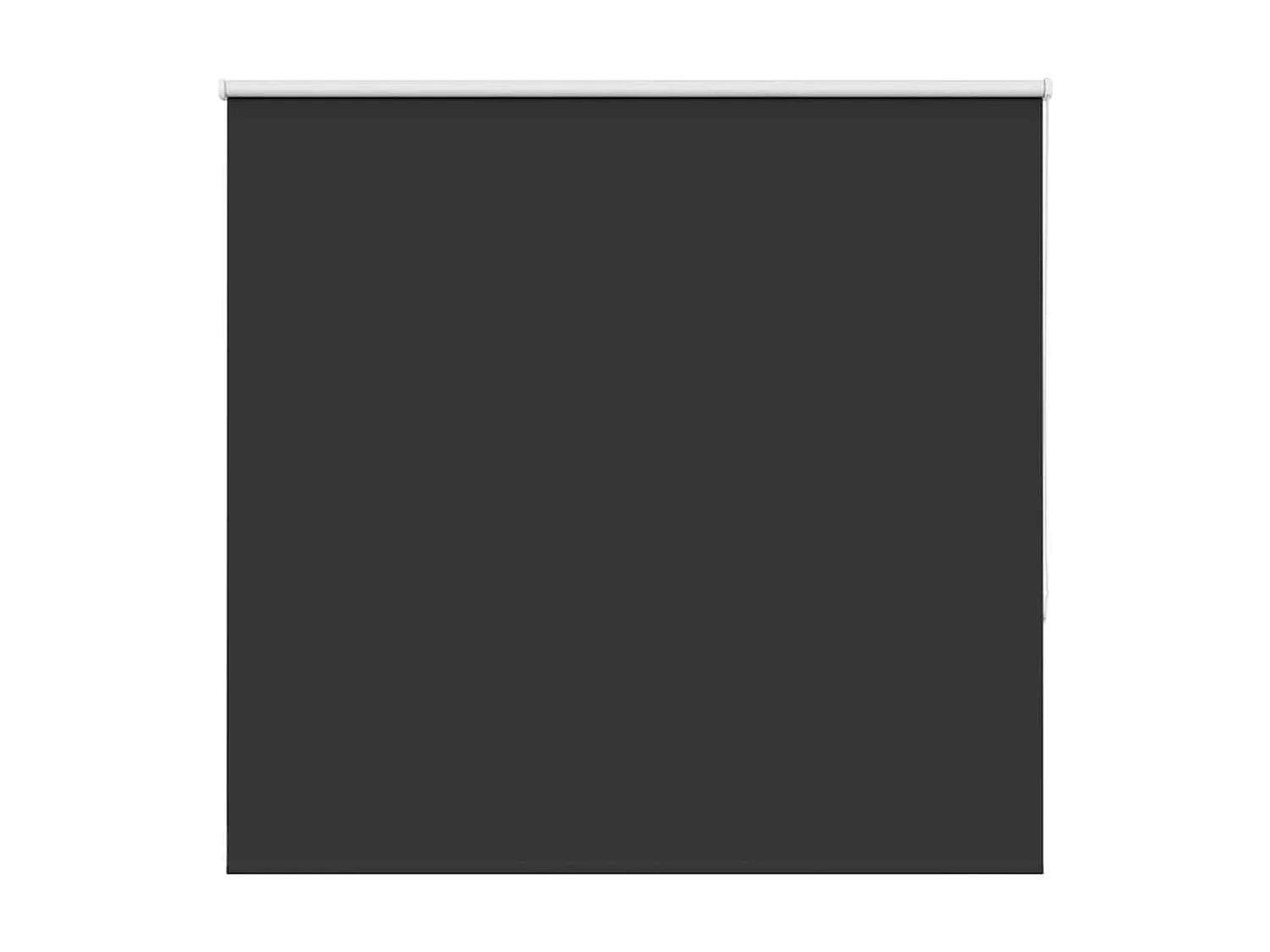Estor Enrollable Opaco negro 150x150 cm Tela Ancho 146,6 cm