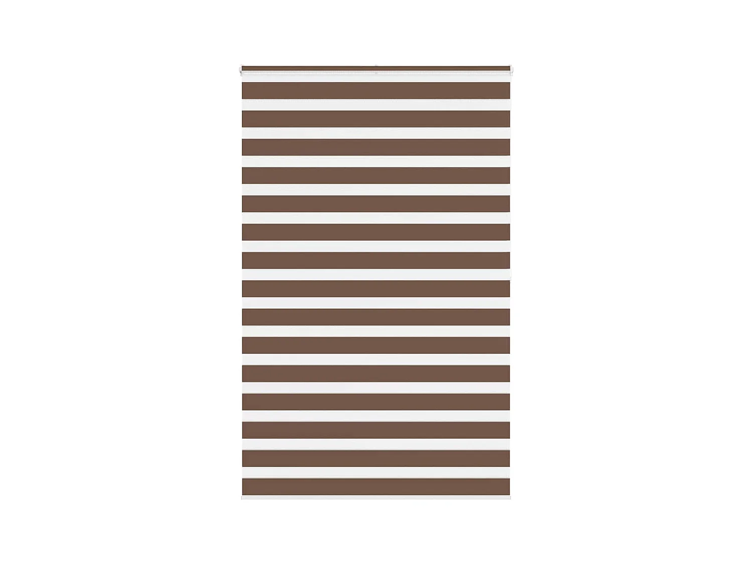 Store zèbre marron 150x200cm largeur du tissu 145,9cm polyester