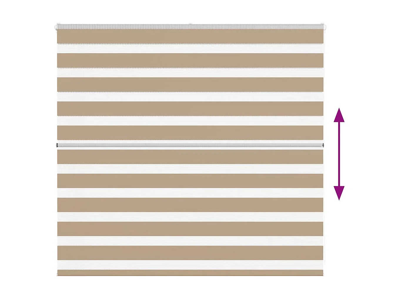 Store zèbre marron sable largeur du tissu 155,9 cm polyester