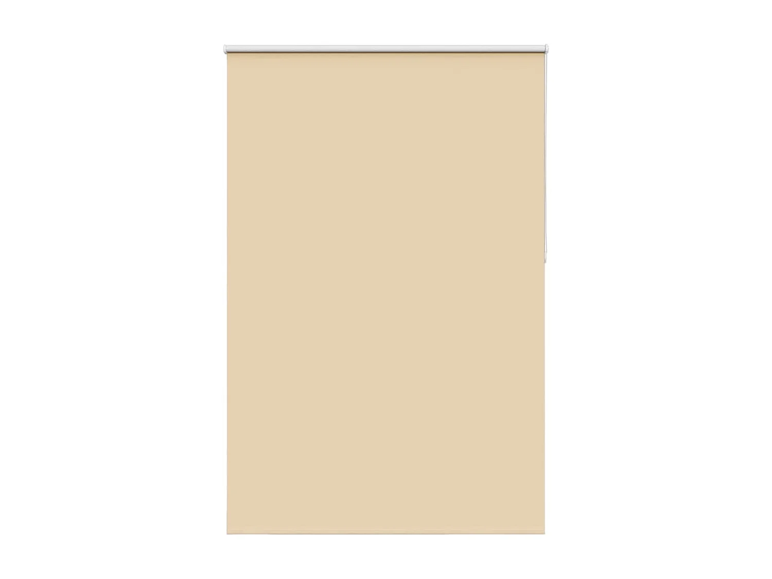 Estor Enrollable Opaco Beige 160x210 cm Tela Ancho 156,6 cm