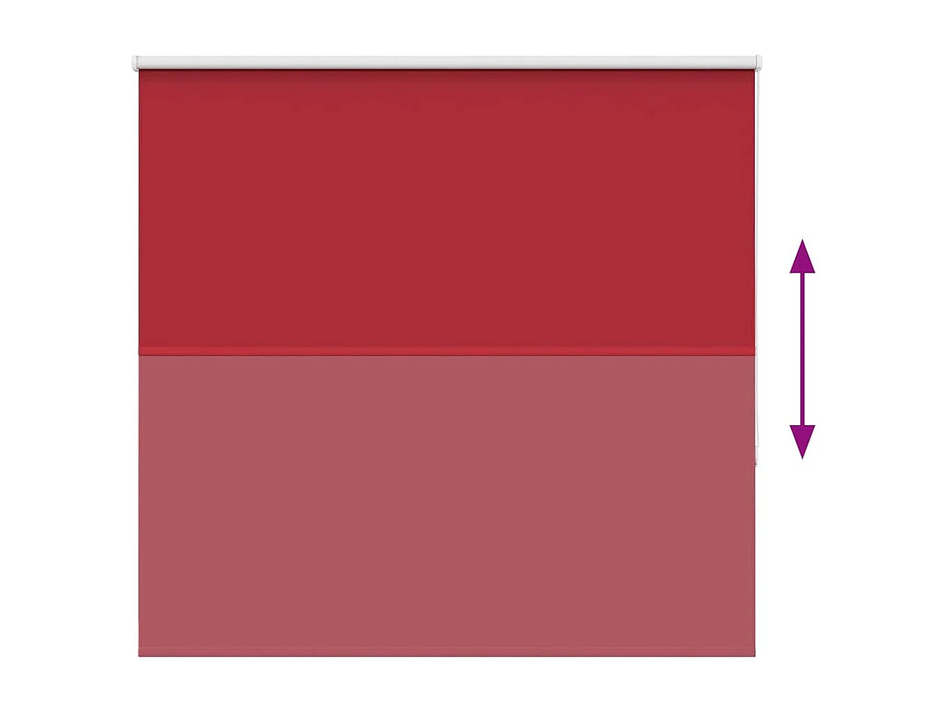 Estor Enrollable Opaco Rojo 155x130 cm Tela Ancho 151,6 cm