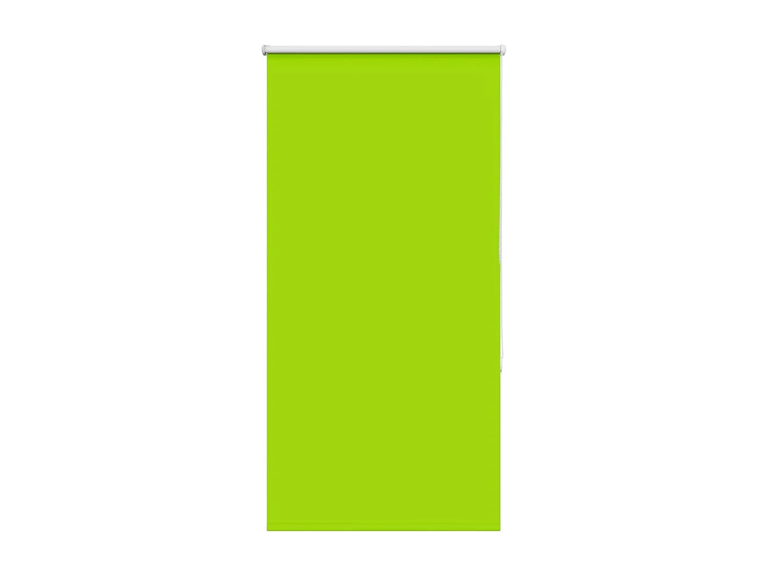 Estor Enrollable Opaco hojas verde 80x150 cm Tela Ancho 75,7 cm