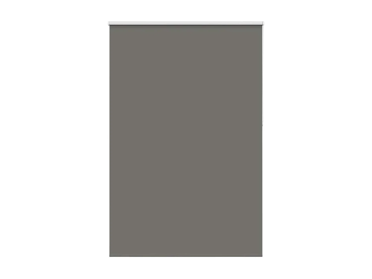 Estor Enrollable Opaco gris 150x210 cm Tela Ancho 146,6 cm