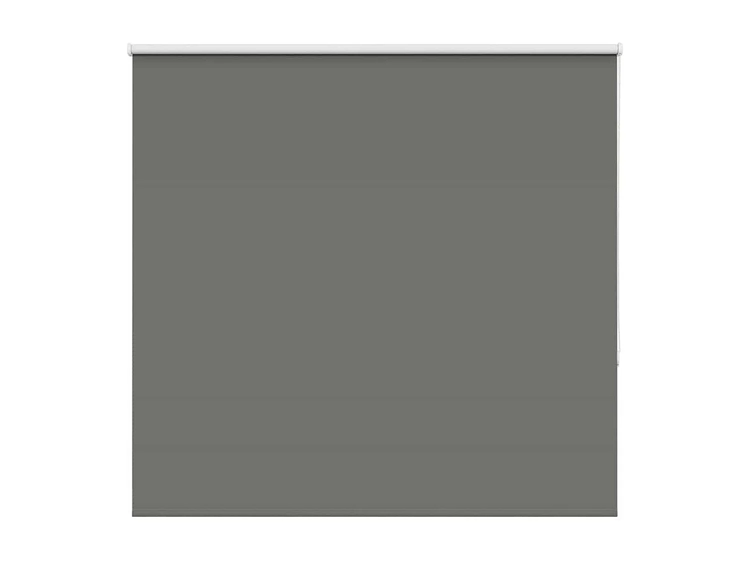 Estor Enrollable Opaco gris 150x175 cm Tela Ancho 146,6 cm