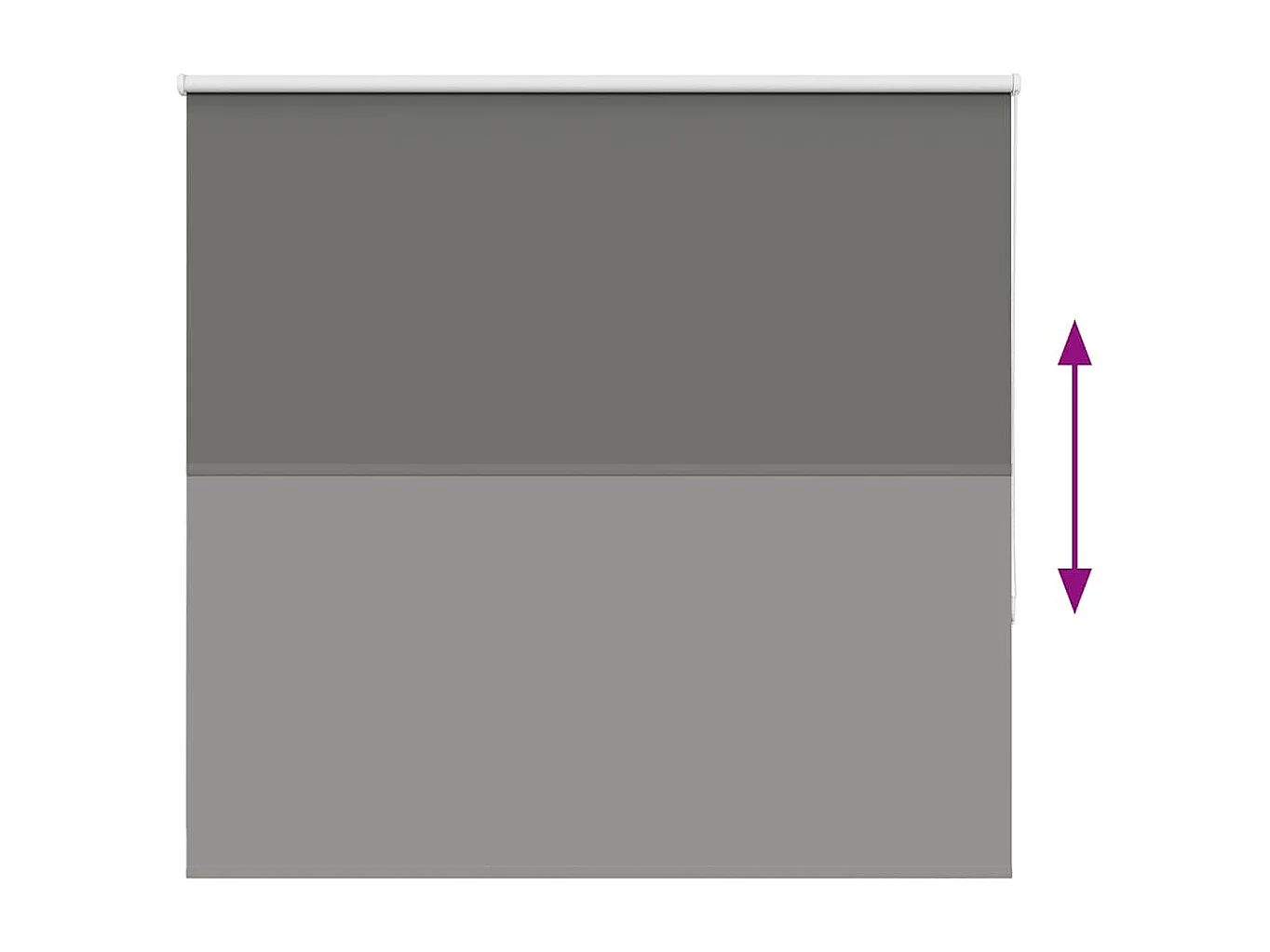 Estor Enrollable Opaco gris 150x175 cm Tela Ancho 146,6 cm