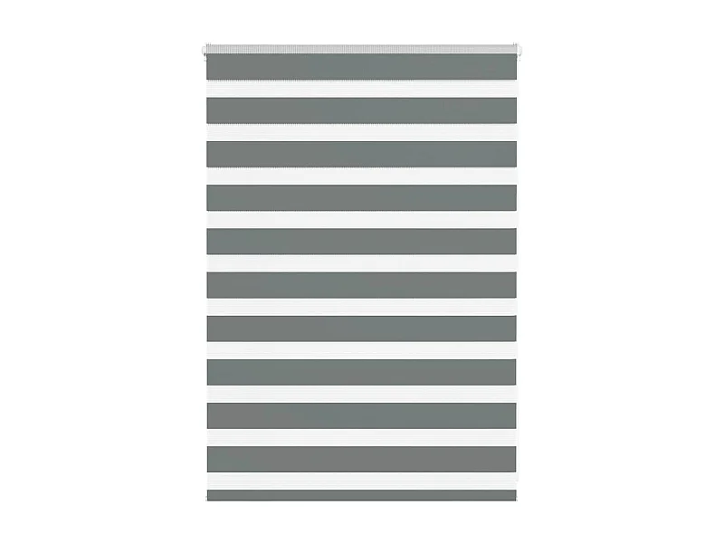 Zebra rolgordijn 95x100 cm stofbreedte 90,9 cm donkergrijs