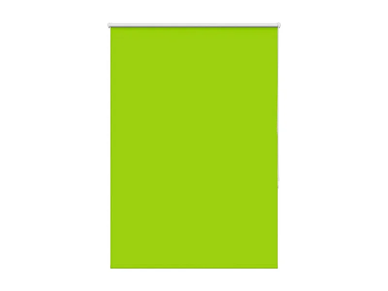 Estor Enrollable Opaco hojas verde 105x175cm Tela Ancho 100,7cm