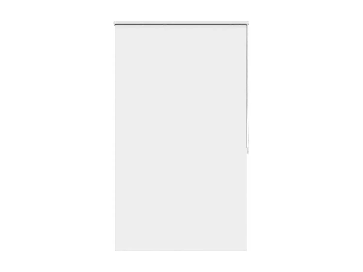 Store roulant 80 x 175 cm Blanc