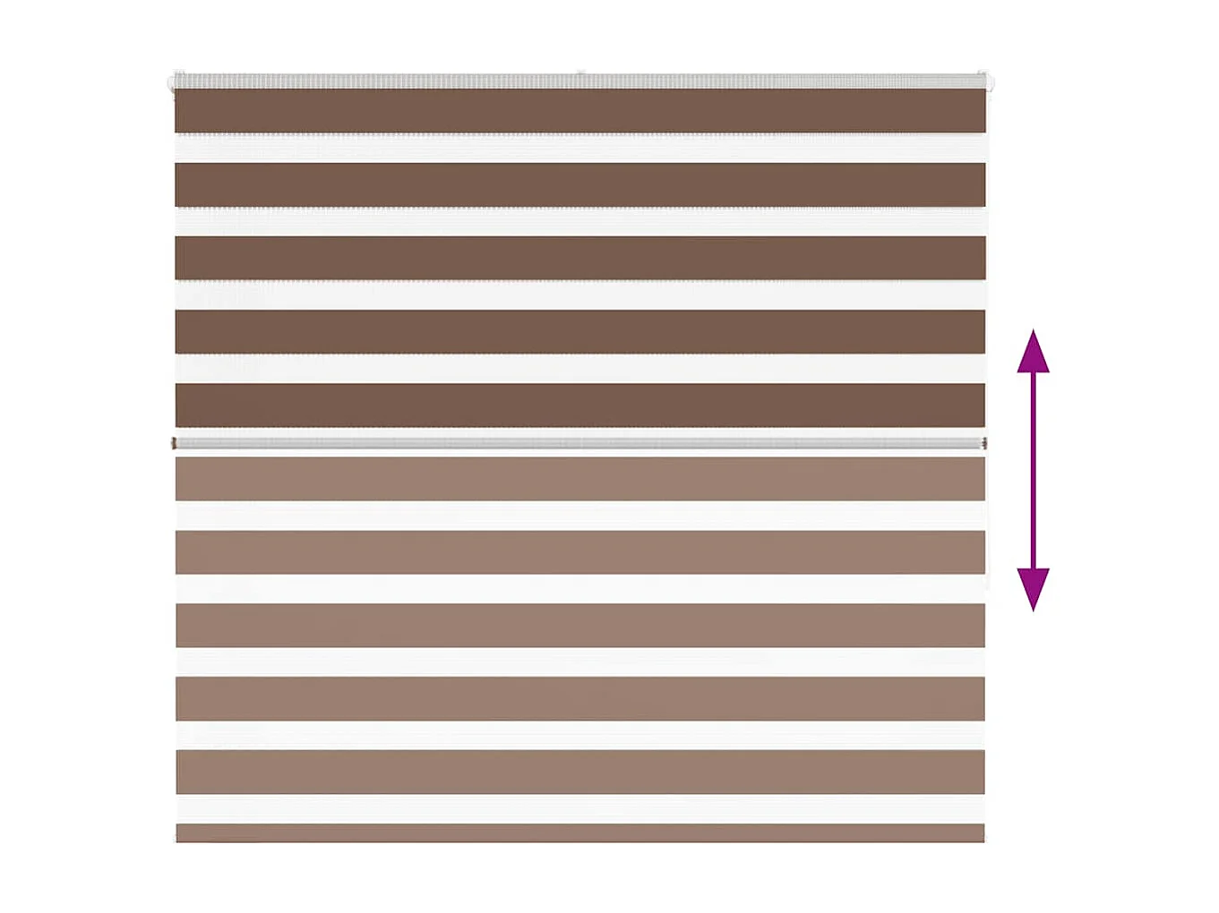 Store zèbre marron 160x150cm largeur du tissu 155,9cm polyester