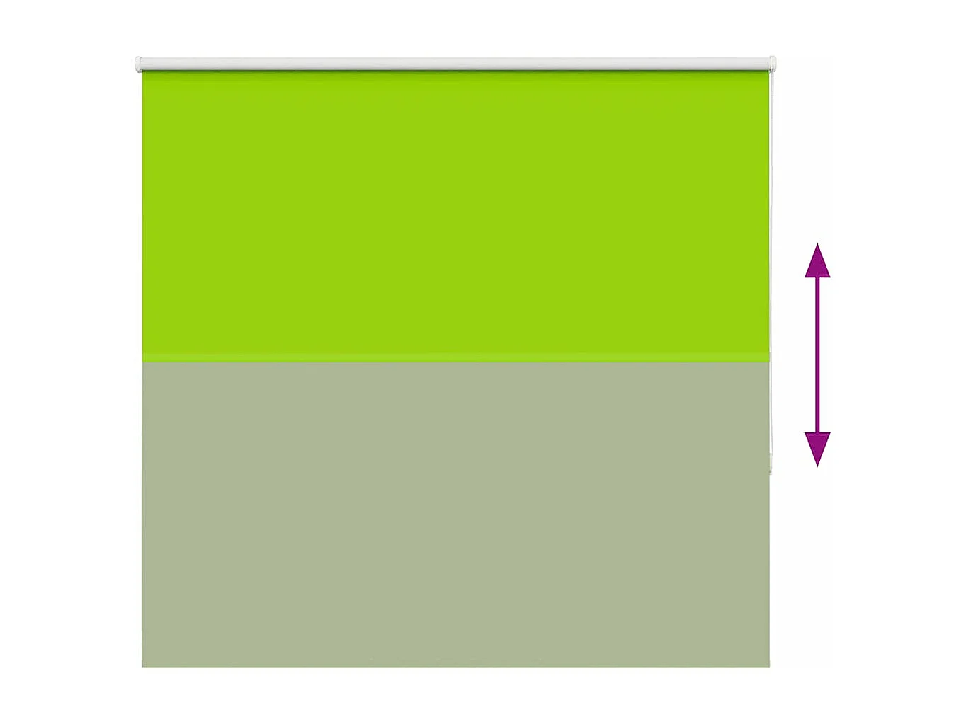 Estor Enrollable Opaco hojas verde 155x150cm Tela Ancho 151,6cm