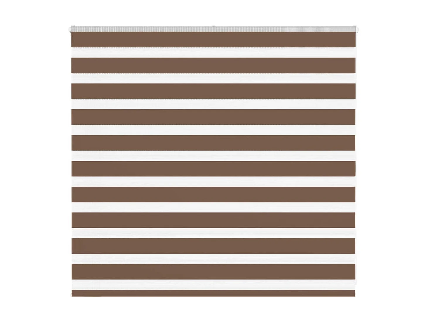 Store zèbre marron 155x100cm largeur du tissu 150,9cm polyester