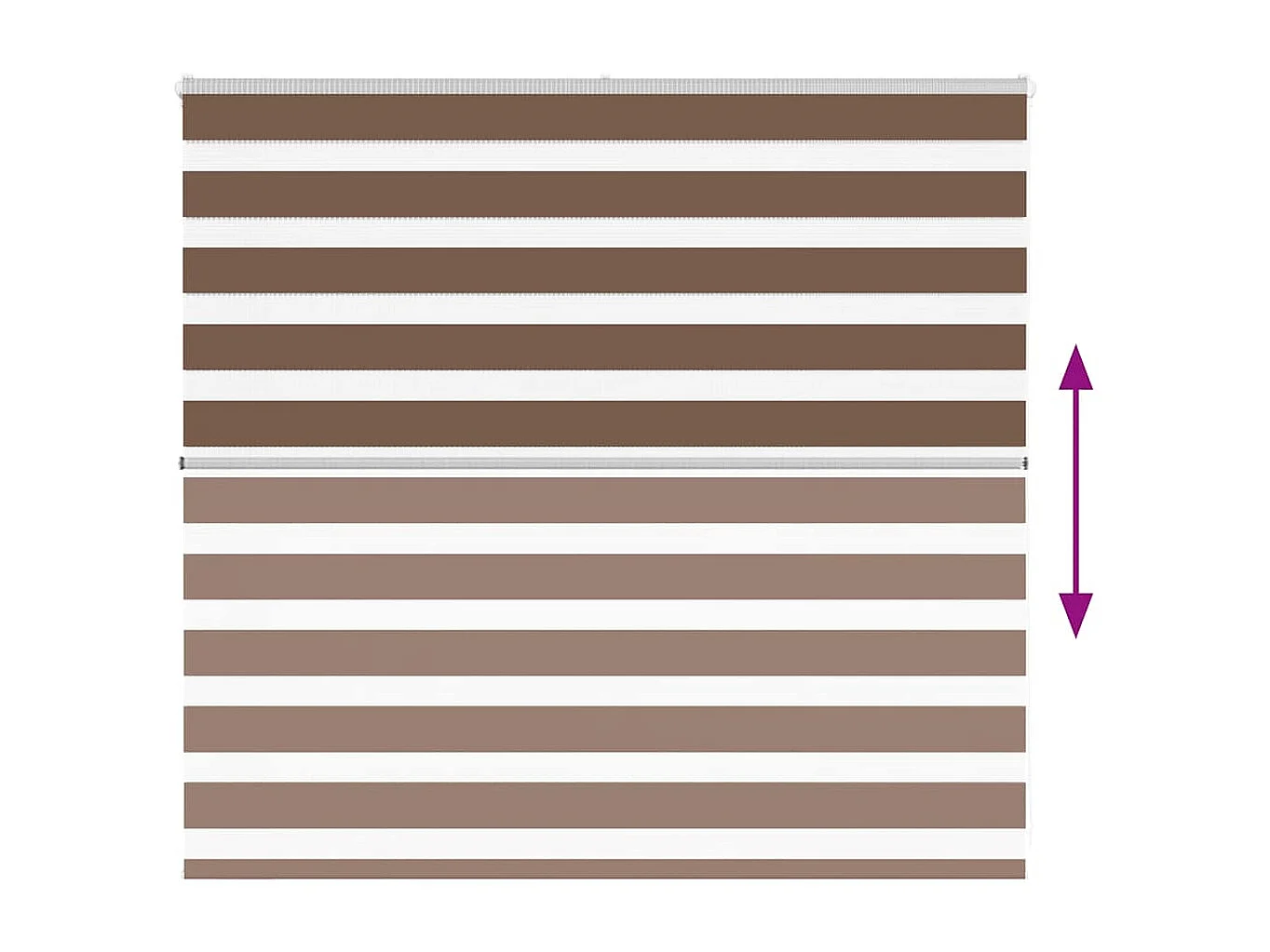 Store zèbre marron 155x100cm largeur du tissu 150,9cm polyester