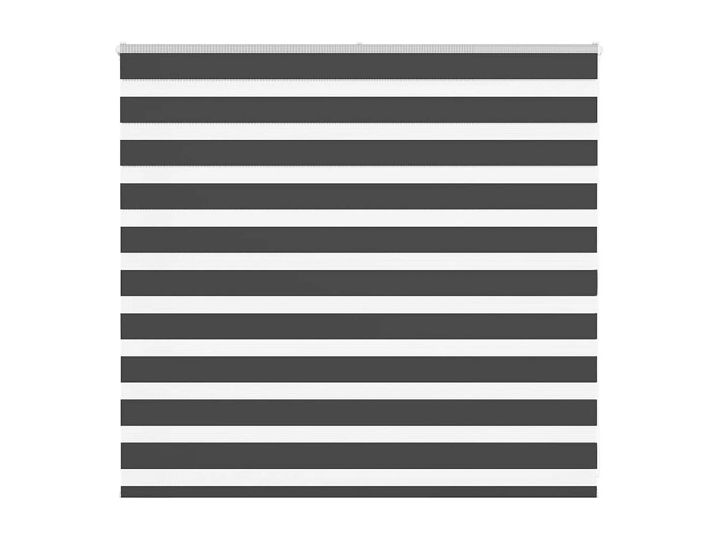 Estor cebra negro 160x100 cm tejido ancho 155,9 cm poliéster