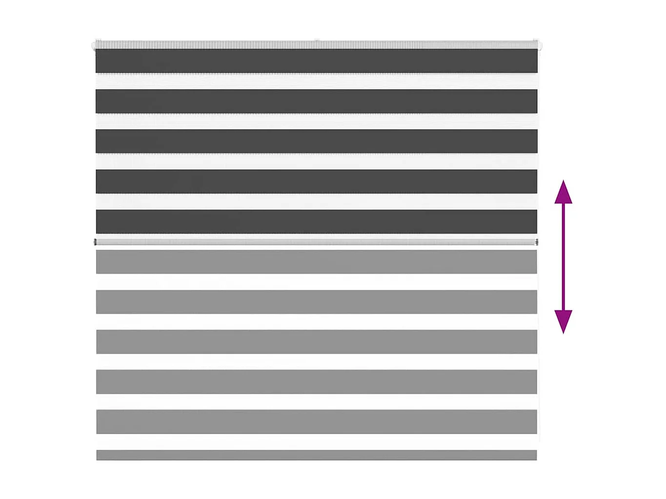 Estor cebra negro 160x100 cm tejido ancho 155,9 cm poliéster