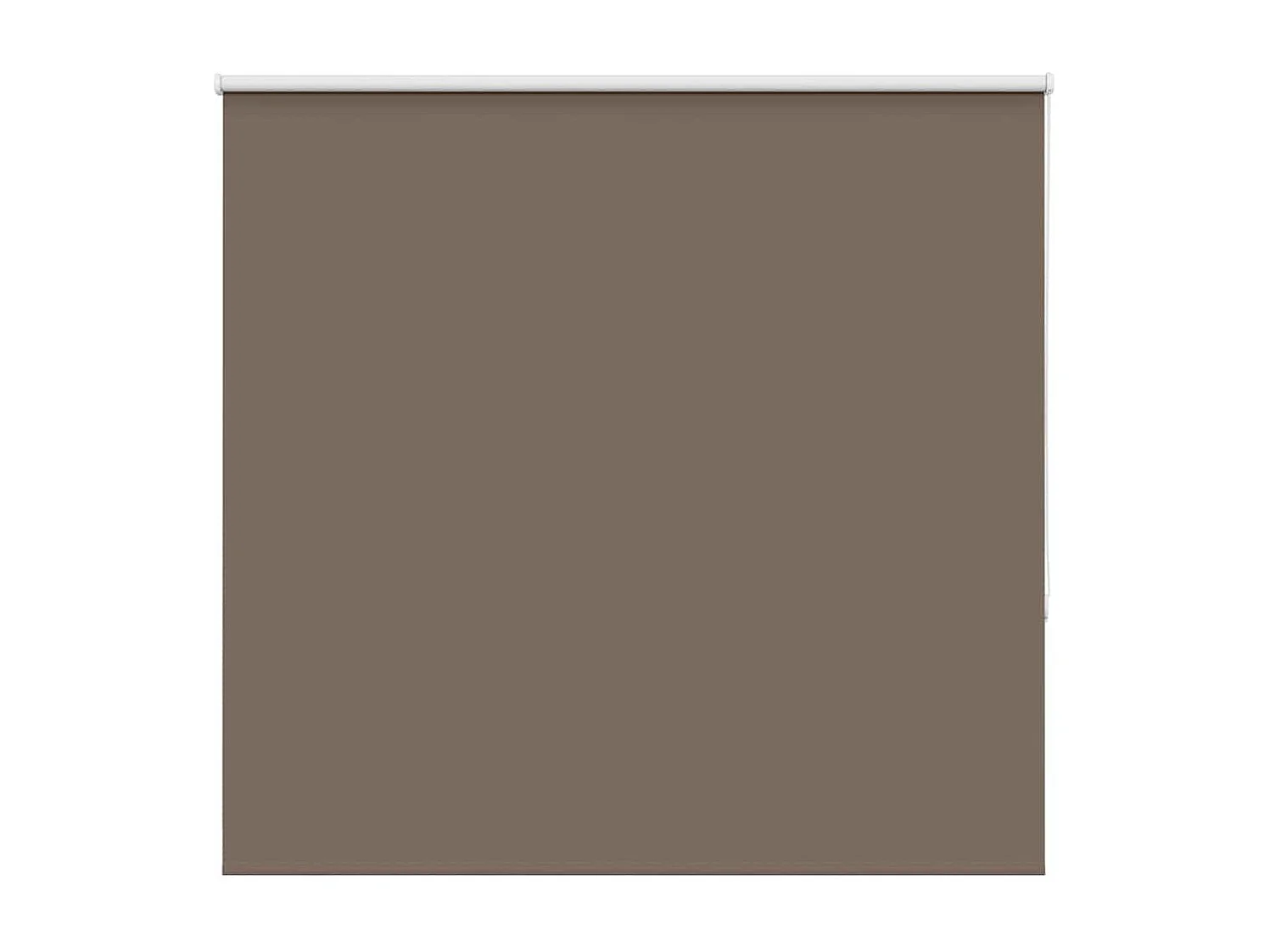 Estor Enrollable Opaco Color Café 150x150 cm Tela Ancho 146,6cm