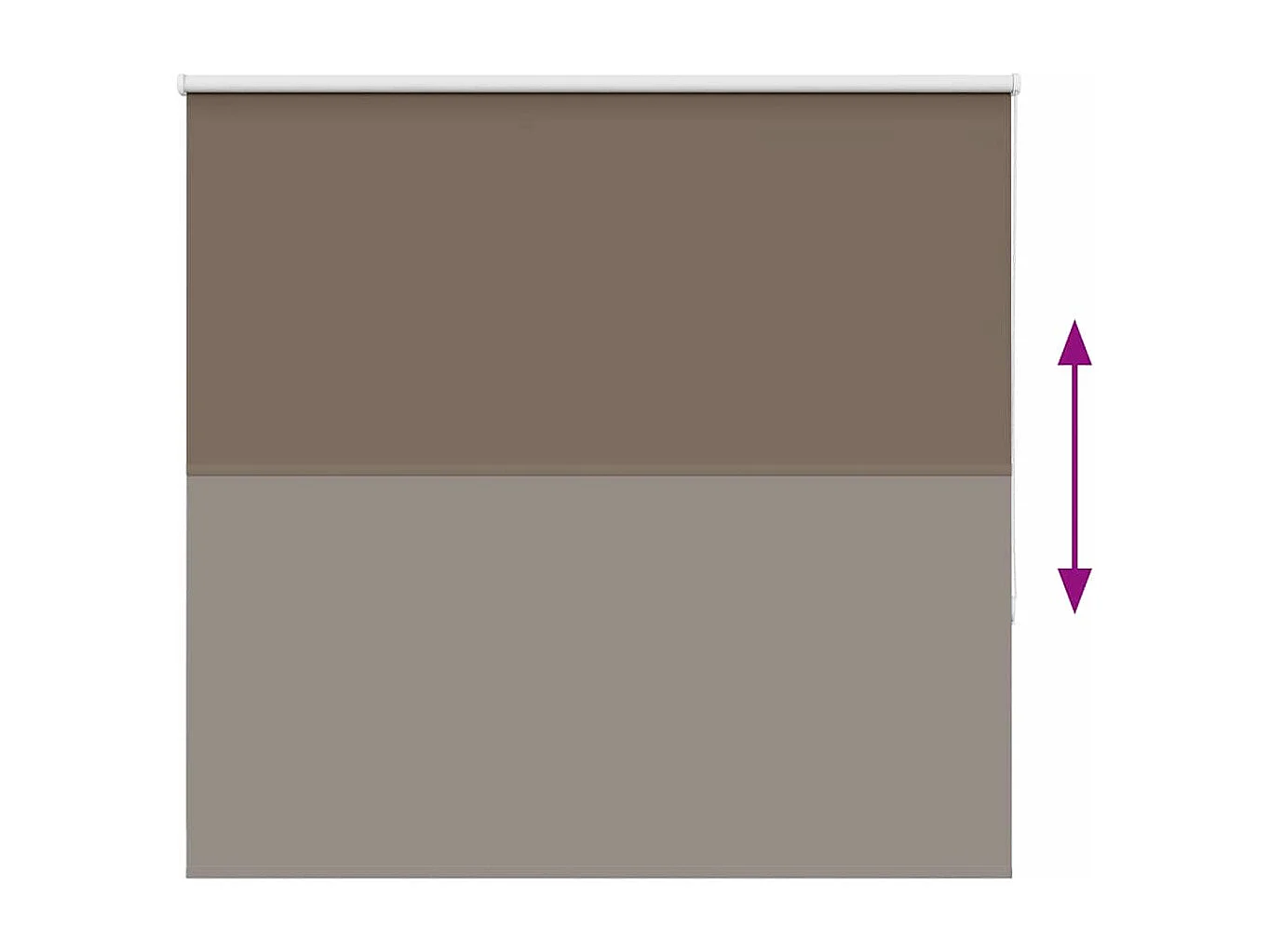 Estor Enrollable Opaco Color Café 150x150 cm Tela Ancho 146,6cm