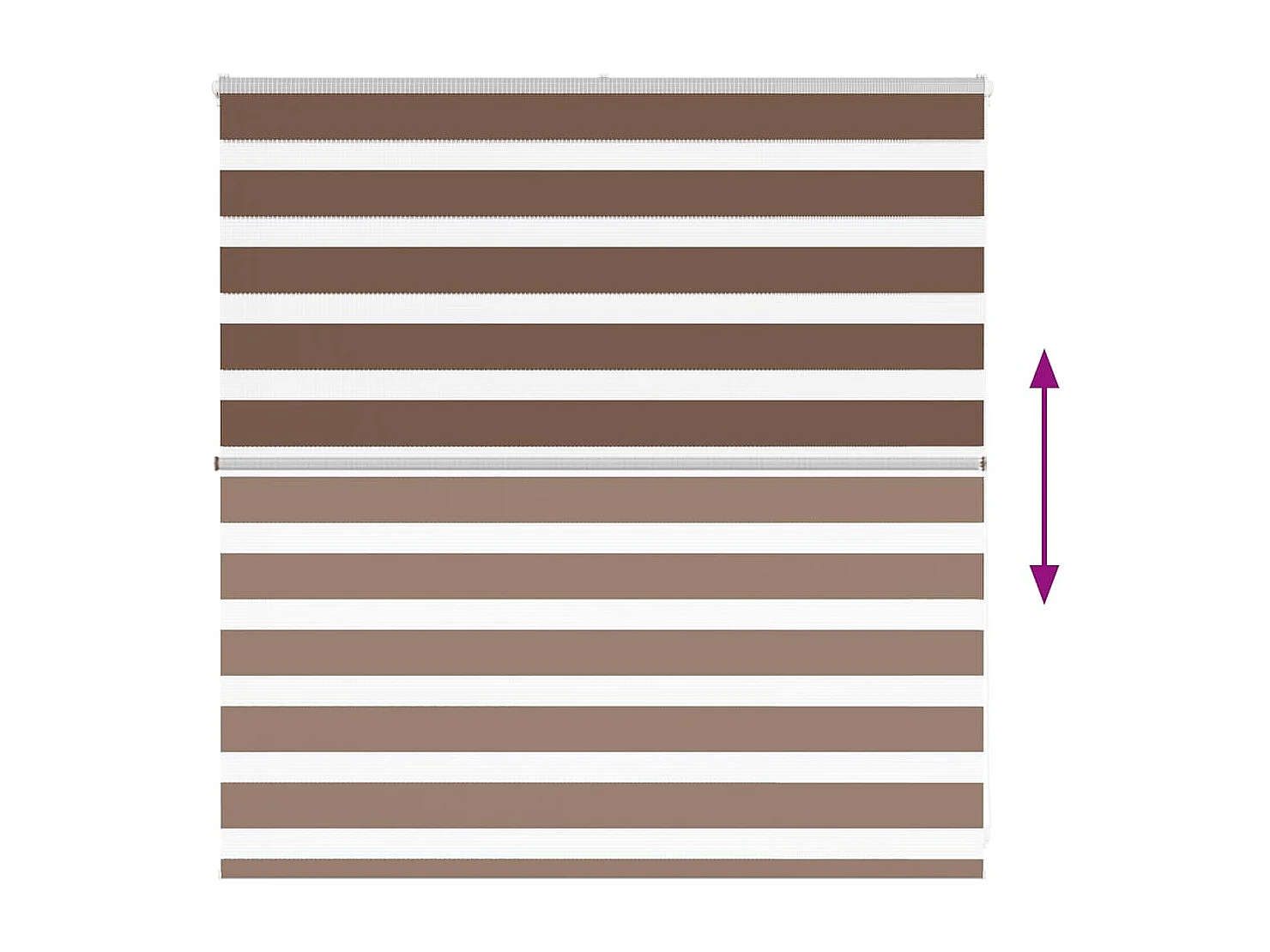 Store zèbre marron 145x100cm largeur du tissu 140,9cm polyester