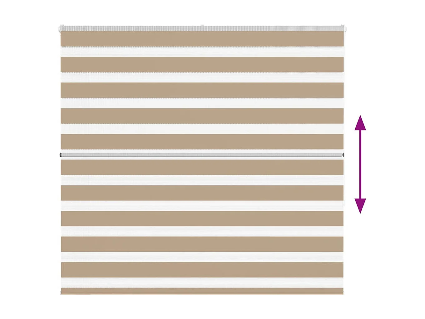 Store zèbre marron sable largeur du tissu 155,9cm polyester