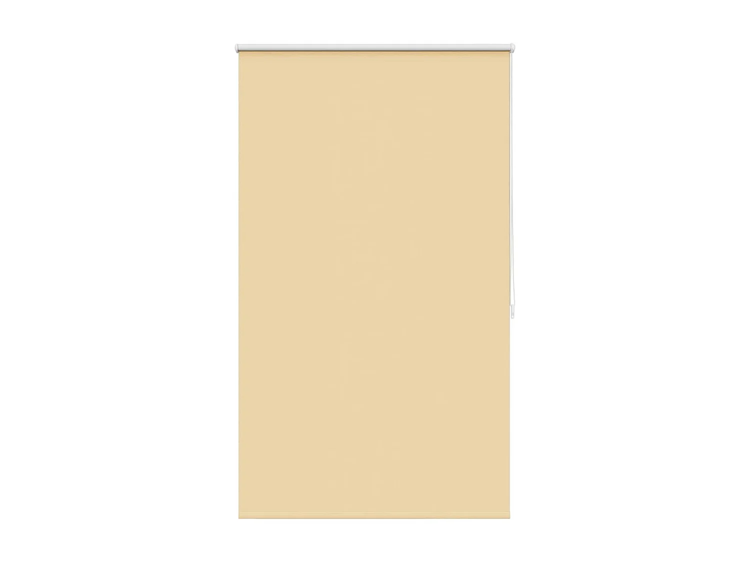 Store roulant 80 x 175 cm Beige